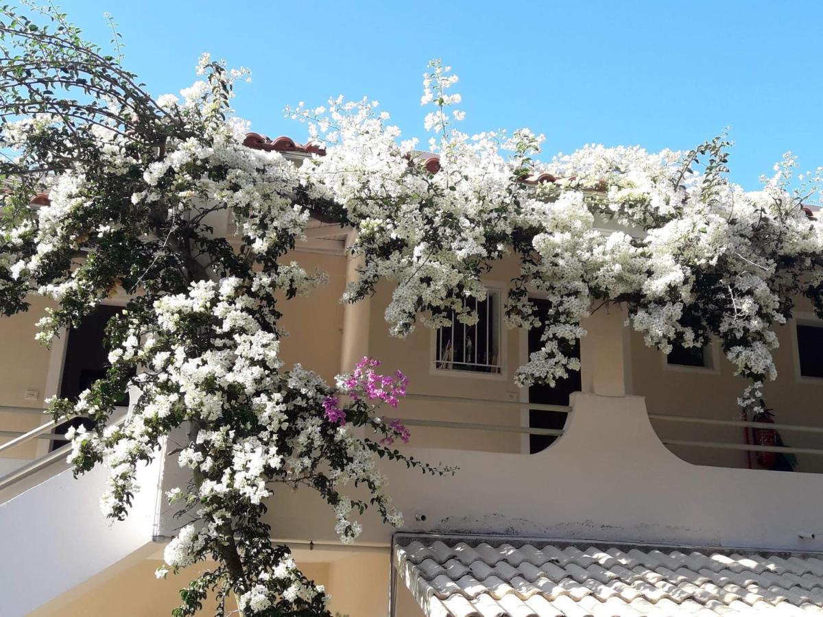 Makis Apartments Arillas  Exterior foto